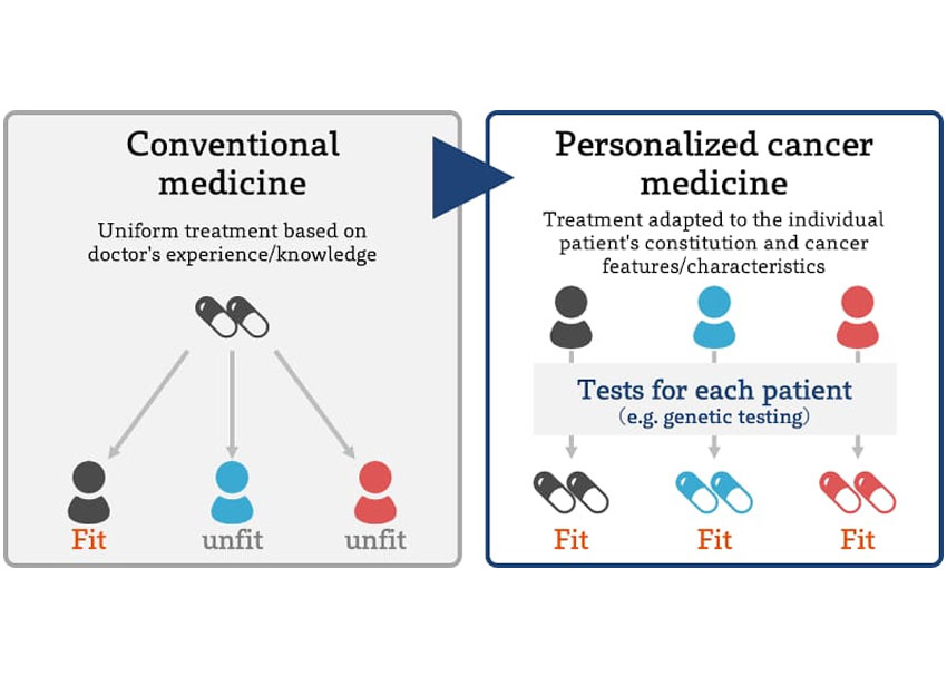 Personalized anti-cancer therapy